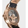 Laikrodis AVIATOR Douglas Day-Date V.3.35.2.275.4