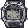 Laikrodis Casio Collection W-220HF-8AVEF