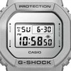 Laikrodis Casio G-Shock DW-5600FF-8ER