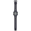 Laikrodis Casio standartas WS-B1000-1AVEF