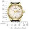 Laikrodis Citizen Automatic NY4059-09AC