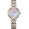 Laikrodis Citizen Eco-Drive EM0996-84Y