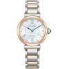 Laikrodis Citizen Eco-Drive EM1074-82D