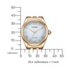 Laikrodis Citizen Eco-Drive EM1143-81X