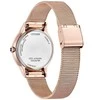 Laikrodis Citizen Eco-Drive EM1153-88A