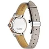 Laikrodis Citizen Eco-Drive EM1166-01Z