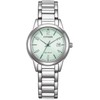 Laikrodis Citizen Elegance Eco Drive FE1241-71X