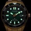 Laikrodis Citizen Promaster Marine Eco-Drive BN0262-59W