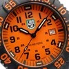 Laikrodis Luminox Sea Lion CARBONOX X2.2059.1