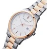 Laikrodis Pierre Cardin CQI.0012 Épinettes Essential