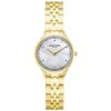 Laikrodis Pierre Cardin PC902682F305