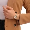 Laikrodis Pierre Cardin PC902682F305