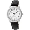 Laikrodis Q&Q C02A-007PY