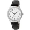 Laikrodis Q&amp;Q C02A-007PY