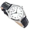Laikrodis Q&amp;Q C02A-007PY