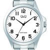 Laikrodis Q&Q C36A-005PY