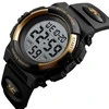 Laikrodis SKMEI 1266 GD