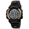 Laikrodis SKMEI 1266 GD