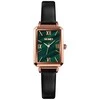 Laikrodis Skmei 1706GN
