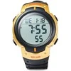 Laikrodis SKMEI DG1068GD Golden