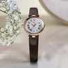 Laikrodis Tissot Bellissima Small Lady T126.010.36.013.00