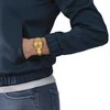 Laikrodis Tissot PR 100 Quartz Lady T150.210.33.021.00