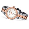 Laikrodis Tissot PR 100 Sport Chic Lady T101.910.22.116.00