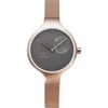 Laikrodis Obaku V201LDVJMV