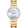 Laikrodis Pierre Cardin A.PC902722F208