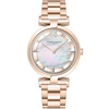 Laikrodis Pierre Cardin MADELEINE Park CMD.3539