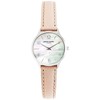 Laikrodis Pierre Cardin PC902682F204