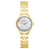 Laikrodis Pierre Cardin PC902682F305