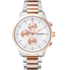 Laikrodis Pierre Cardin PC902741F09