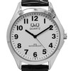 Laikrodis Q&Q C192J304Y