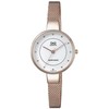 Laikrodis Q&amp;Q QA17J011Y