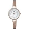 Laikrodis Q&Q QA17J011Y