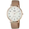 Laikrodis Q&amp;Q QA20J044Y