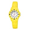 Laikrodis Q&amp;Q V26A-002VY