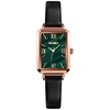 Laikrodis Skmei 1706GN