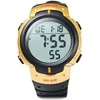 Laikrodis SKMEI DG1068GD Golden