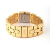 Laikrodis Storm Lustra Gold