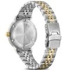 Laikrodis WENGER URBAN CLASSIC 01.1731.122