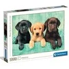 Clementoni dėlionė „Three Labs“ 1000 detalių