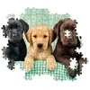 Clementoni dėlionė „Three Labs“ 1000 detalių
