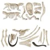 Clementoni Jurassic World T. Rex ir Pteranodonas