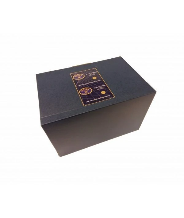 Crystal Bohemia Bohemia krištolinės taurės šampanui 180ml 6vnt., Brixton