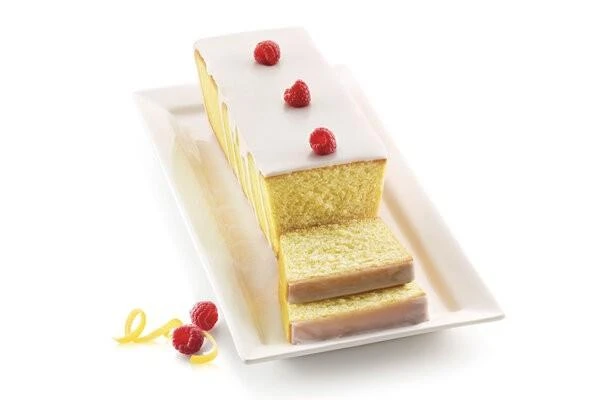 Plum Silikomart silikoninė forma 30x10cm(h7cm)