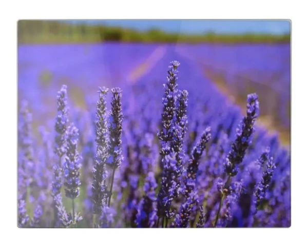 Allesken Stiklinė pjaustymo lentelė 40x30cm,Lavanda