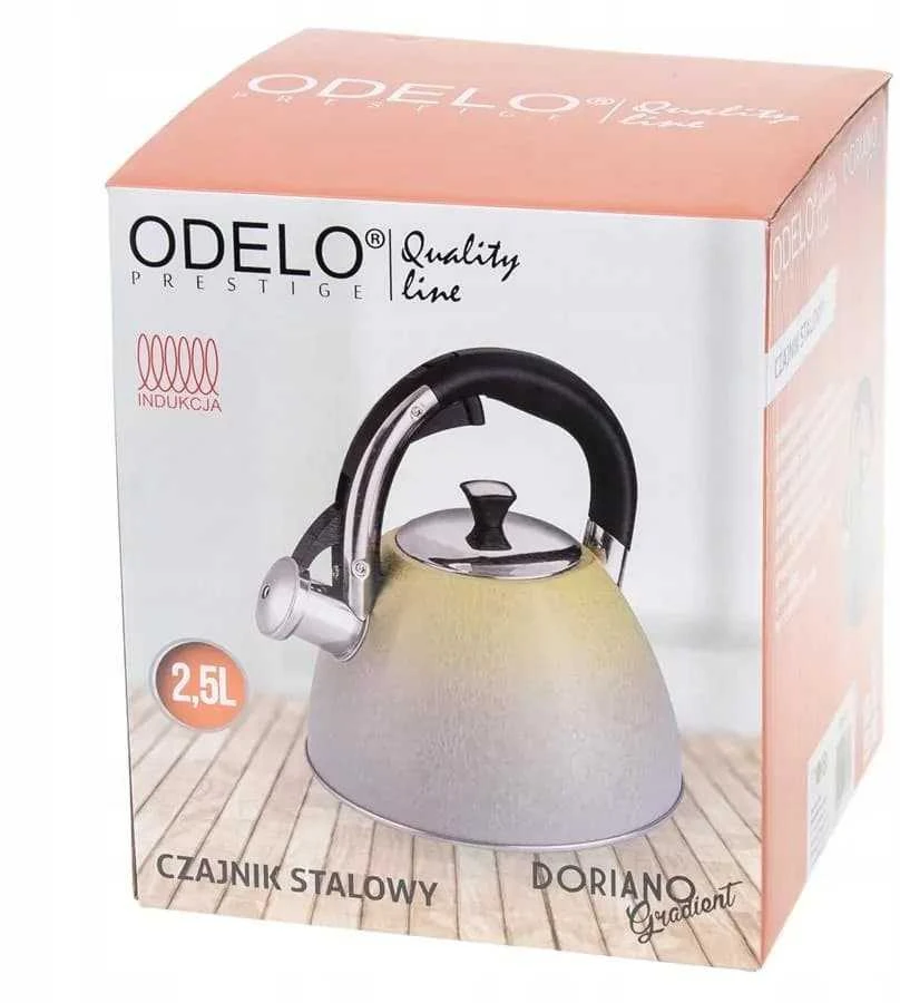 Kamille Virdulys 2,5l,nerūdijantis plienas, dvispalvis, Doriano