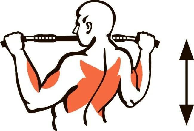 Prie sienos montuojamas skersinis SANRO LT-PRO Baltas, iki 150kg